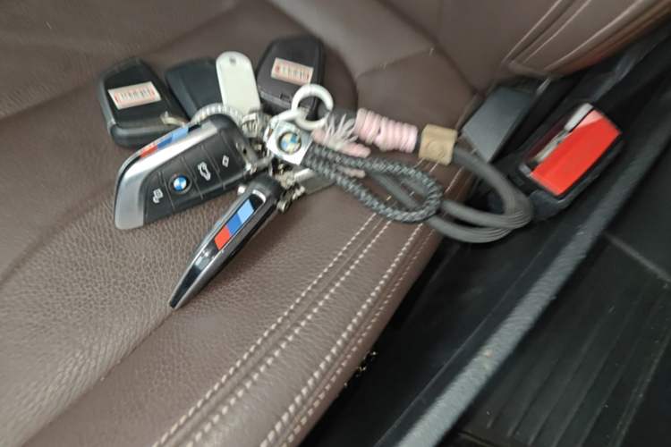 Used BMW X1 2019 xDrive20Li Luxury Model Vehicle Key