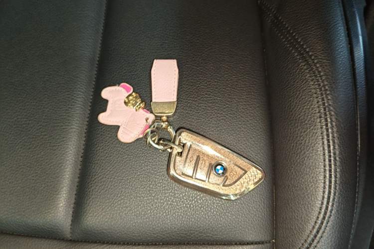 Used BMW X1 2019 sDrive18Li Fashion Model Vehicle Key