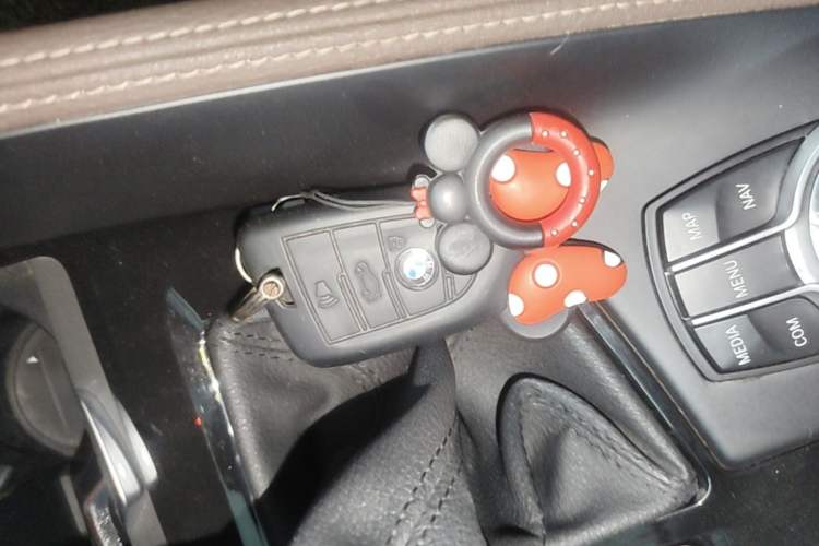 Used BMW X1 2019 xDrive20Li Luxury Model Vehicle Key