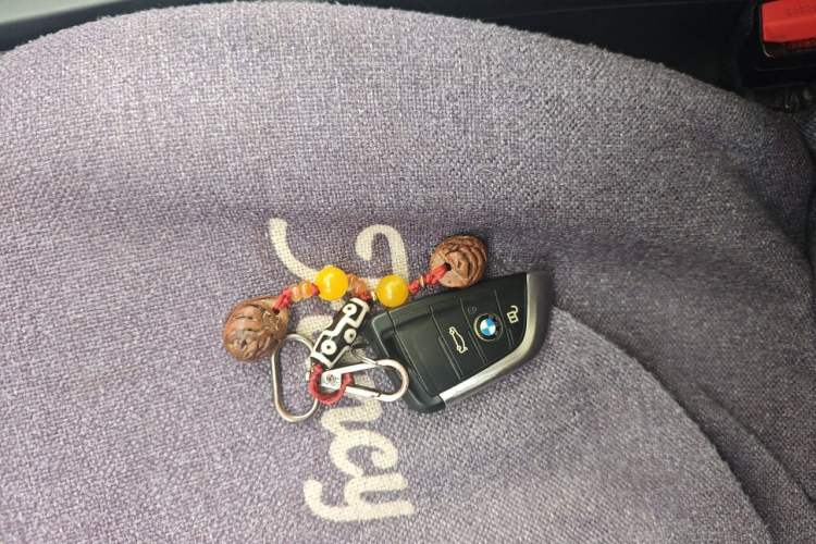 Used BMW X1 2019 sDrive18Li Fashion Model Vehicle Key