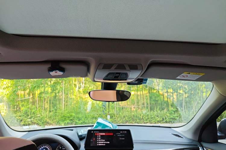 Used BMW X1 2020 xDrive25Li Luxury Edition Headliner