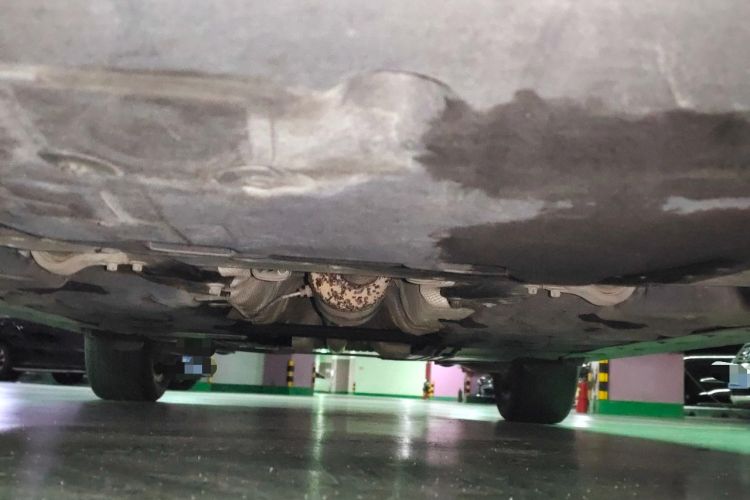 Used BMW X1 2020 sDrive20Li Fashion Model Chassis Front