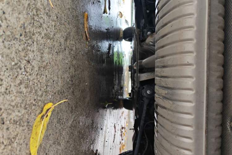 Used BMW X1 2020 sDrive20Li Fashion Model Chassis Rear