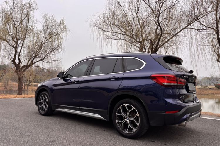 Used BMW X1 2020 sDrive20Li Premium Edition Exterior 9