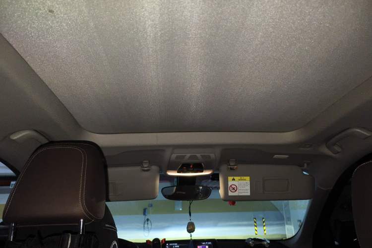 Used BMW X1 2020 sDrive20Li Premium Edition Headliner