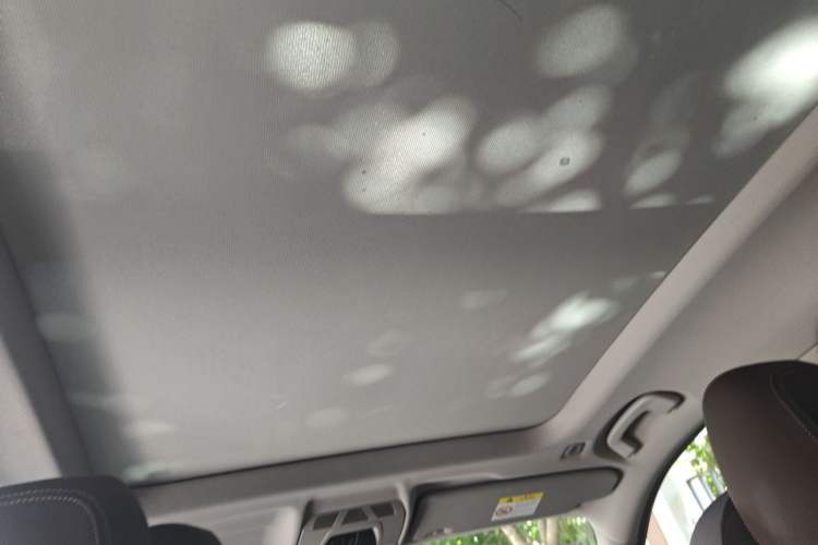 Used BMW X1 2020 sDrive20Li Premium Edition Headliner