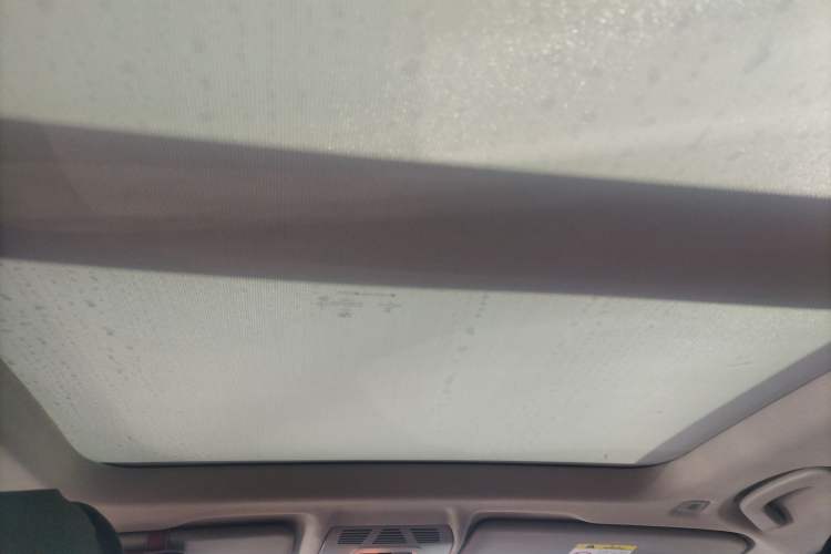Used BMW X1 2020 sDrive20Li Premium Edition Headliner