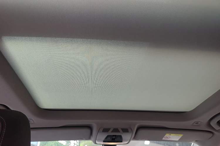 Used BMW X1 2020 sDrive25Li Leading Model Headliner