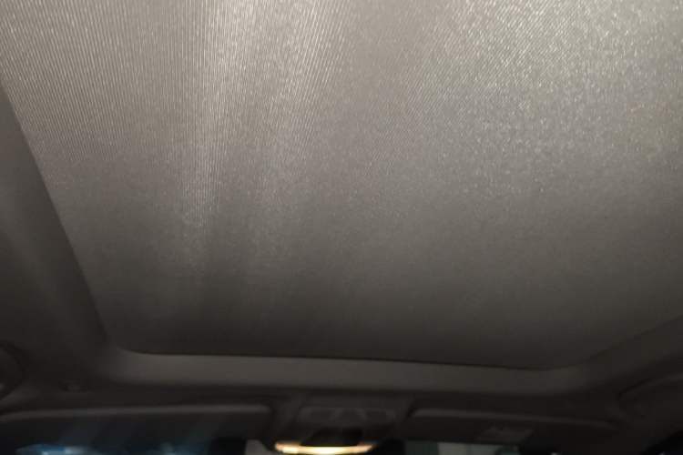 Used BMW X1 2020 sDrive25Li Leading Model Headliner