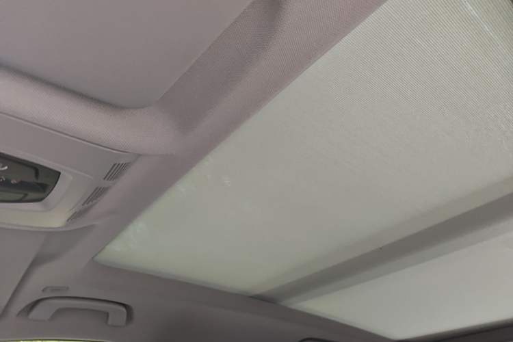 Used BMW X1 2020 sDrive20Li Premium Edition Headliner