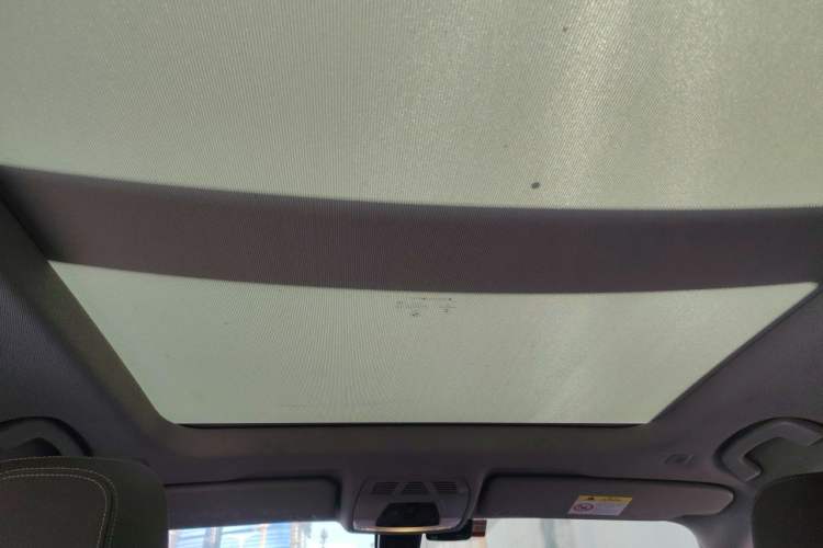 Used BMW X1 2020 sDrive20Li Premium Edition Headliner