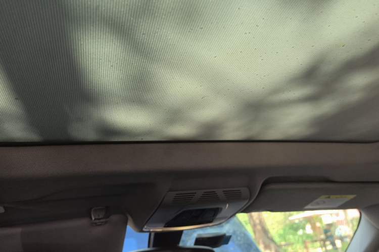 Used BMW X1 2020 sDrive20Li Premium Edition Headliner