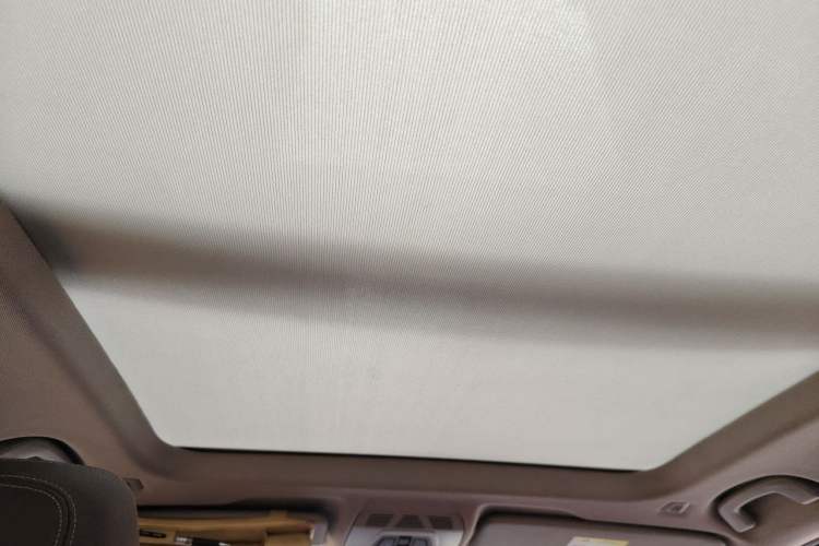 Used BMW X1 2020 sDrive20Li Fashion Model Headliner