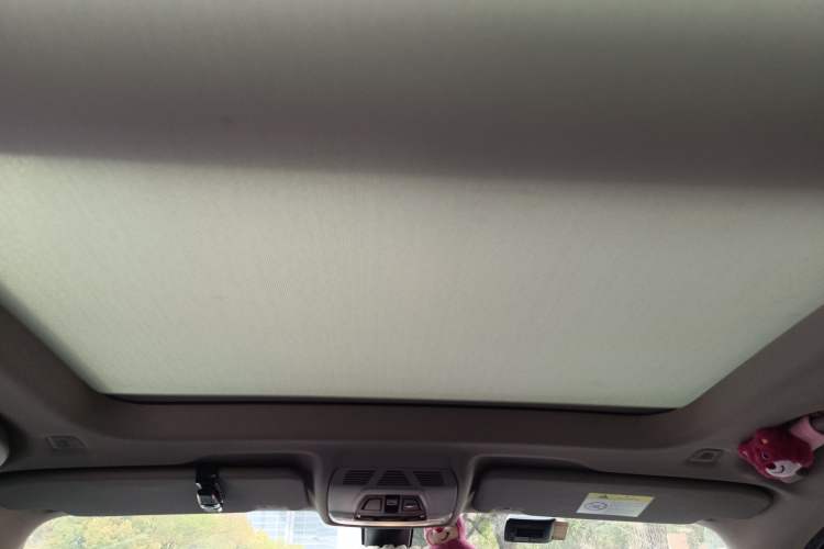Used BMW X1 2020 xDrive25Li Luxury Edition Headliner