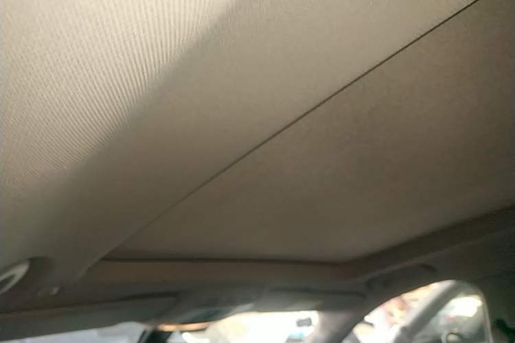 Used BMW X1 2020 xDrive25Li Luxury Edition Headliner
