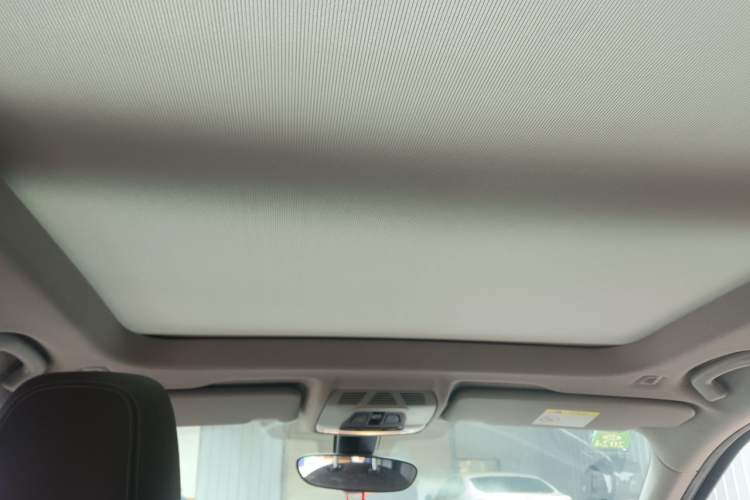 Used BMW X1 2020 sDrive20Li Fashion Model Headliner