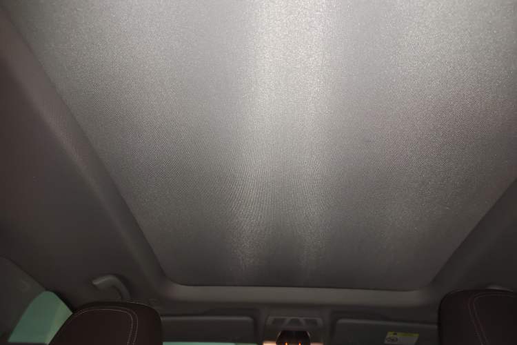 Used BMW X1 2020 sDrive20Li Fashion Model Headliner