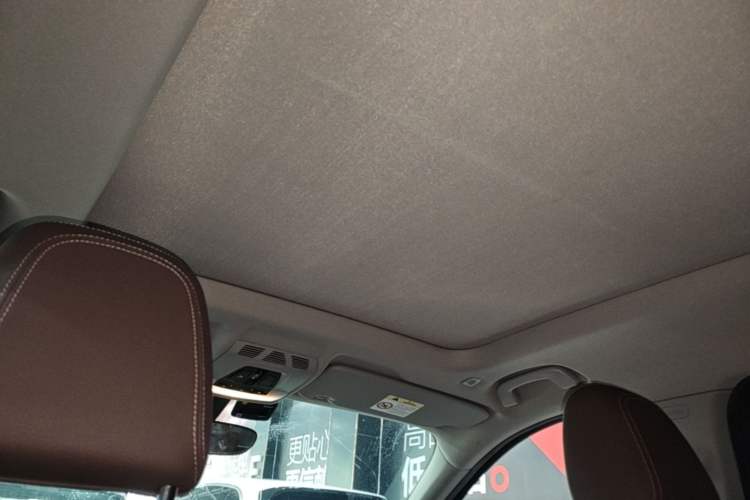 Used BMW X1 2020 sDrive20Li Fashion Model Headliner