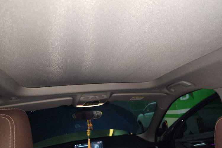 Used BMW X1 2020 sDrive25Li Leading Model Headliner