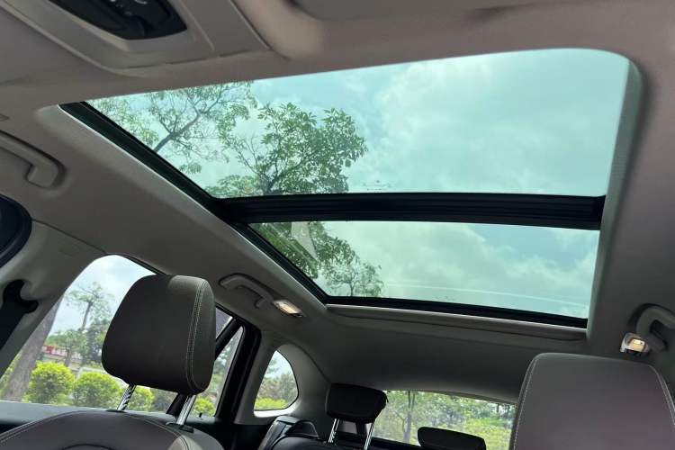 Used BMW X1 2020 sDrive25Li Leading Model Headliner