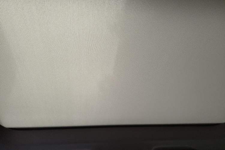 Used BMW X1 2020 sDrive25Li Leading Model Headliner