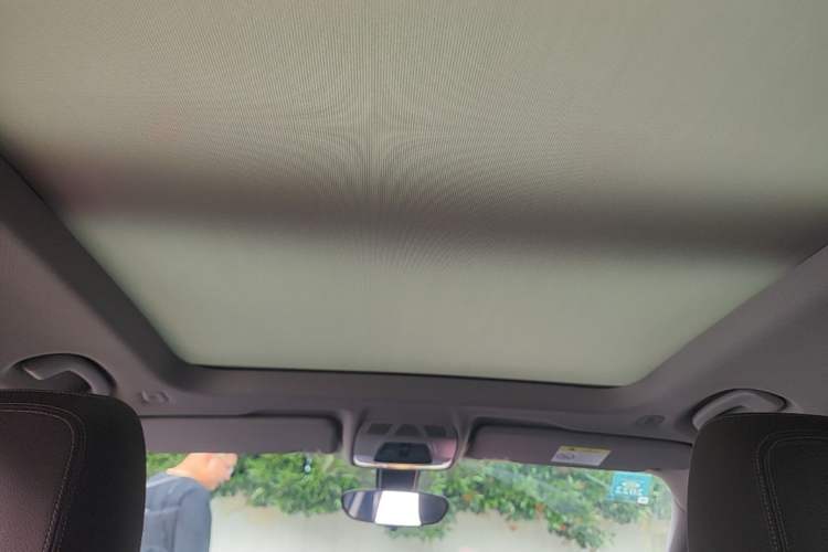 Used BMW X1 2020 sDrive25Li Leading Model Headliner