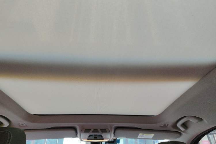 Used BMW X1 2020 sDrive25Li Leading Model Headliner