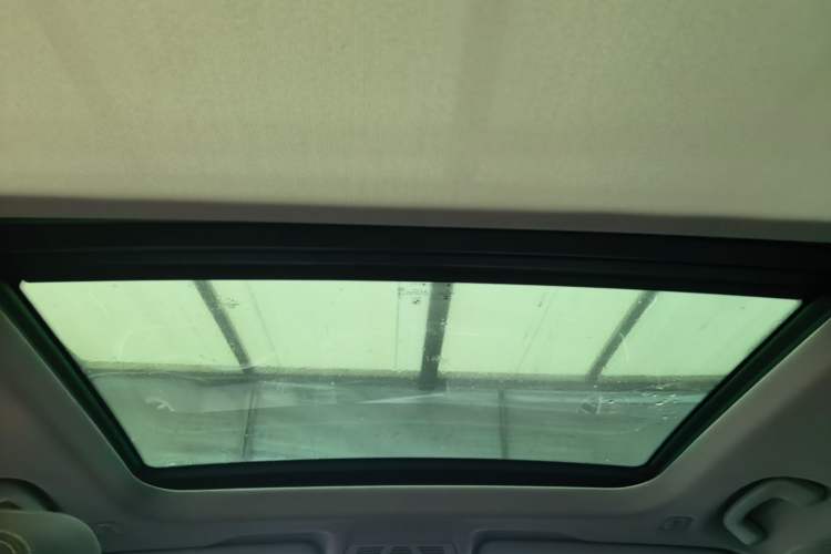 Used BMW X1 2020 sDrive20Li Premium Edition Headliner