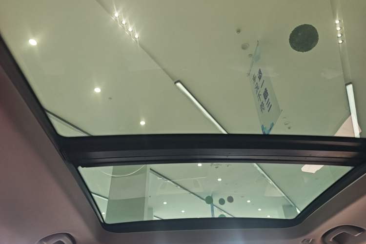 Used BMW X1 2020 sDrive25Li Leading Model Headliner