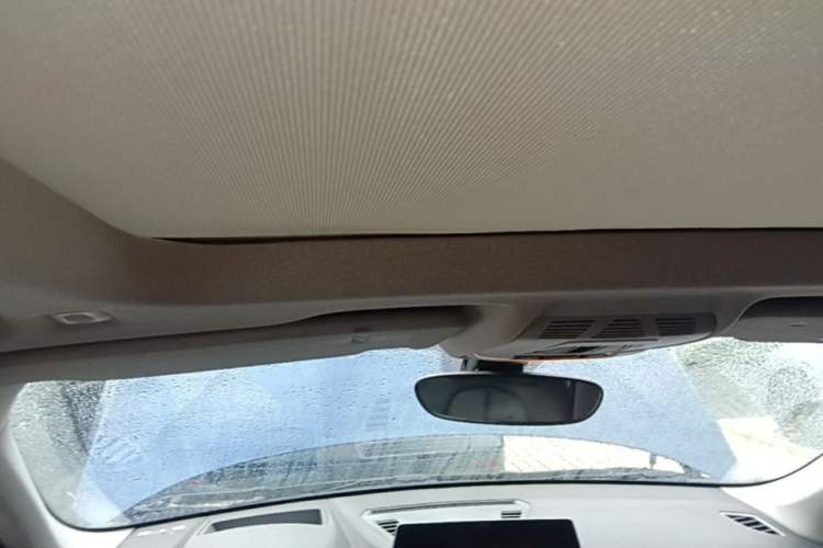Used BMW X1 2020 xDrive25Li Luxury Edition Headliner