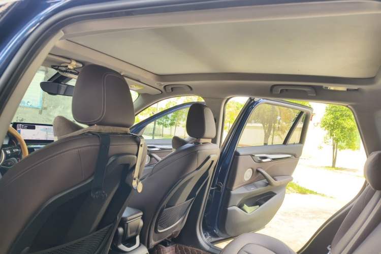 Used BMW X1 2020 sDrive20Li Premium Edition Headliner
