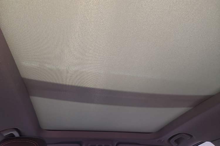 Used BMW X1 2020 sDrive25Li Leading Model Headliner