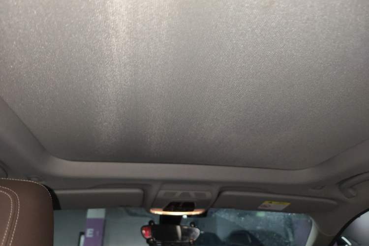 Used BMW X1 2020 sDrive20Li Premium Edition Headliner