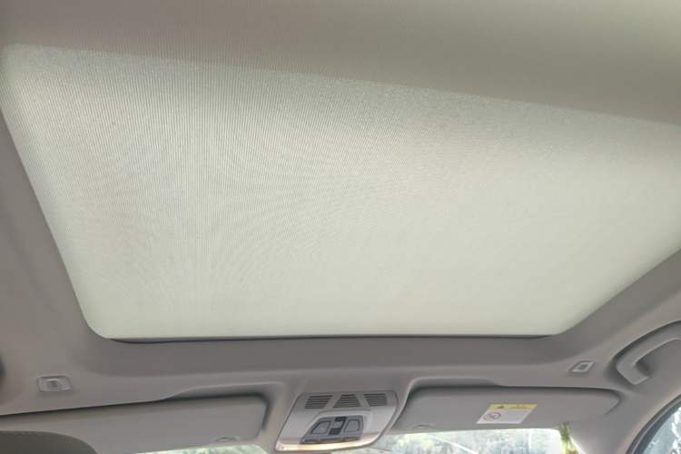Used BMW X1 2020 sDrive20Li Fashion Model Headliner