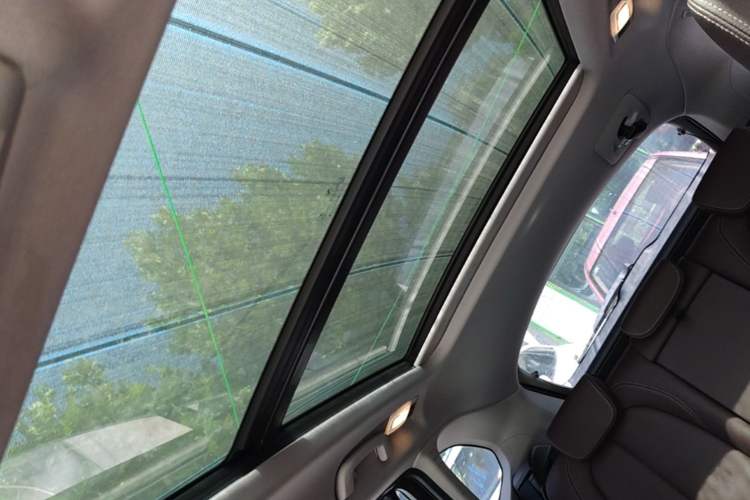 Used BMW X1 2020 sDrive20Li Fashion Model Headliner