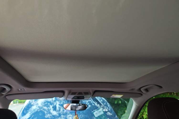 Used BMW X1 2020 sDrive25Li Leading Model Headliner