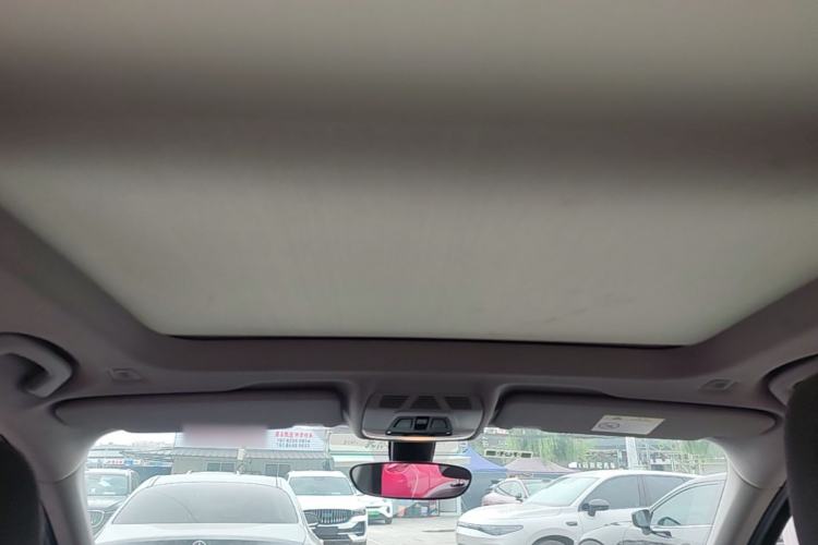Used BMW X1 2020 sDrive20Li Premium Edition Headliner