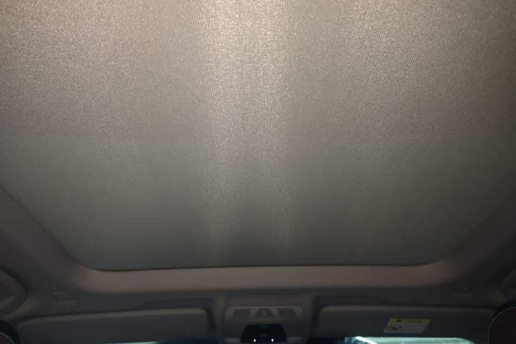 Used BMW X1 2020 sDrive25Li Leading Model Headliner