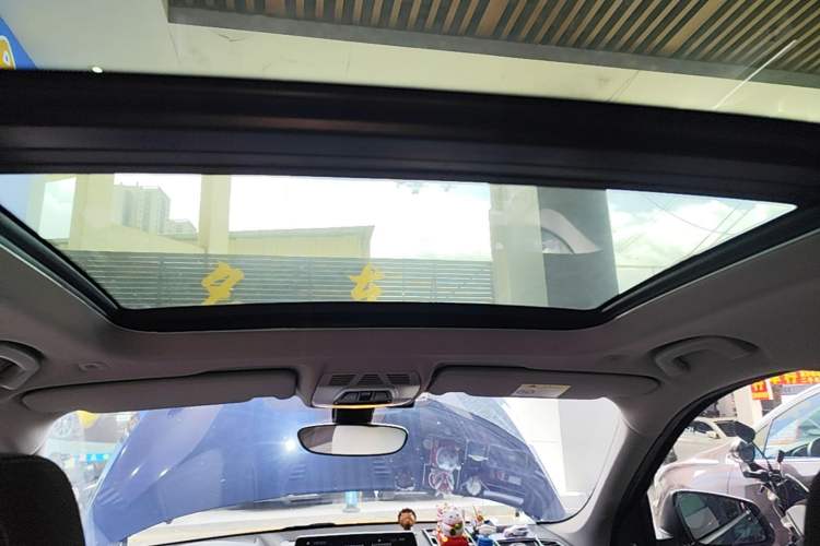 Used BMW X1 2020 sDrive25Li Leading Model Headliner