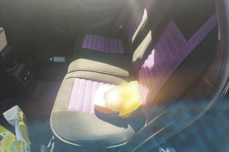 Used BMW X1 2020 sDrive20Li Premium Edition Left Rear Seat