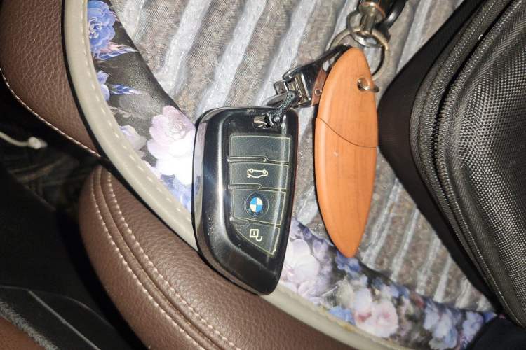 Used BMW X1 2020 sDrive25Li Leading Model Vehicle Key