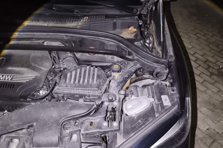 Used BMW X1 2020 sDrive20Li Premium Edition Engine Bay Left