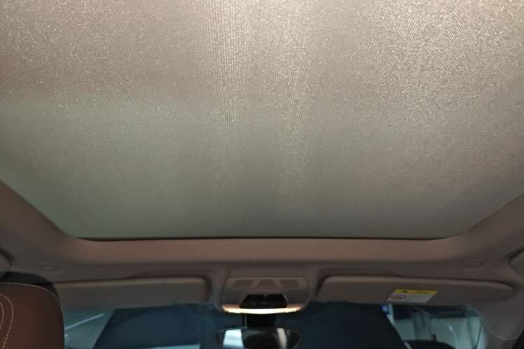 Used BMW X1 2020 sDrive25Li Leading Model Headliner
