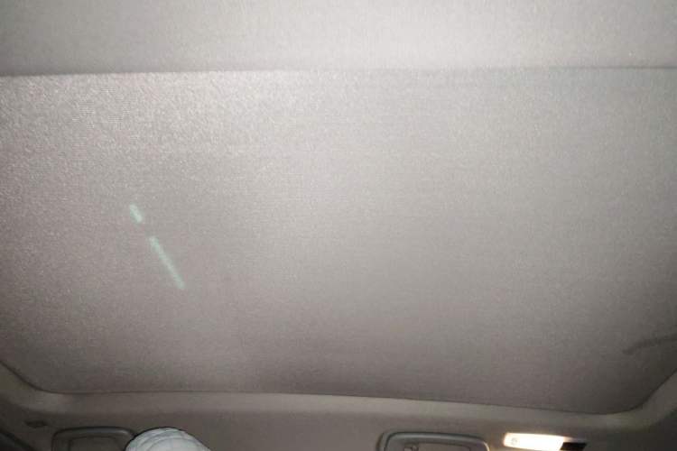 Used BMW X1 2020 sDrive20Li Premium Edition Headliner