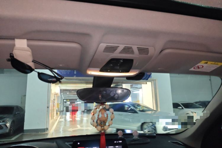Used BMW X1 2020 sDrive20Li Premium Edition Headliner