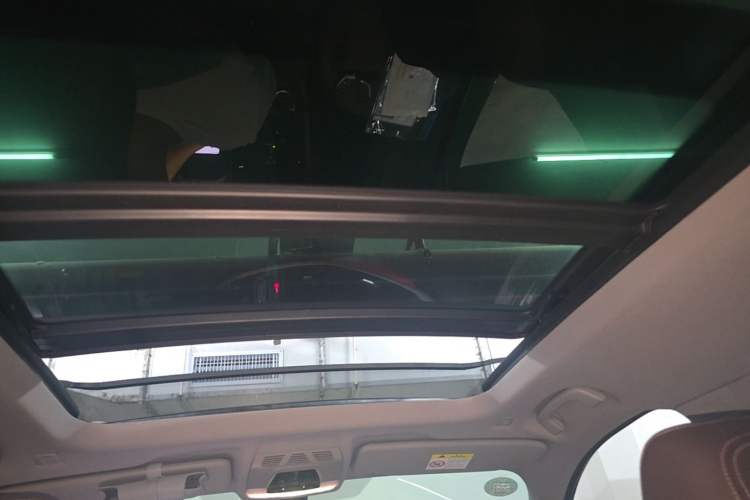 Used BMW X1 2020 sDrive20Li Premium Edition Headliner