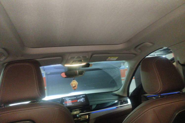 Used BMW X1 2020 sDrive20Li Premium Edition Headliner