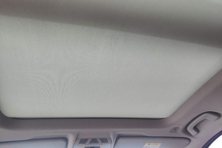 Used BMW X1 2020 sDrive20Li Fashion Model Headliner