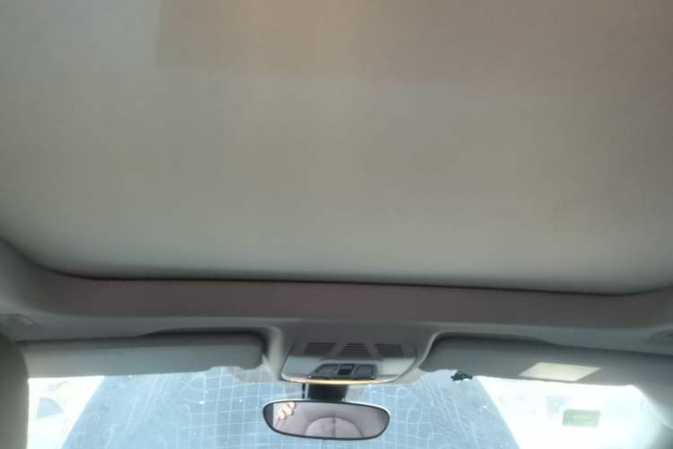 Used BMW X1 2020 sDrive25Li Leading Model Headliner