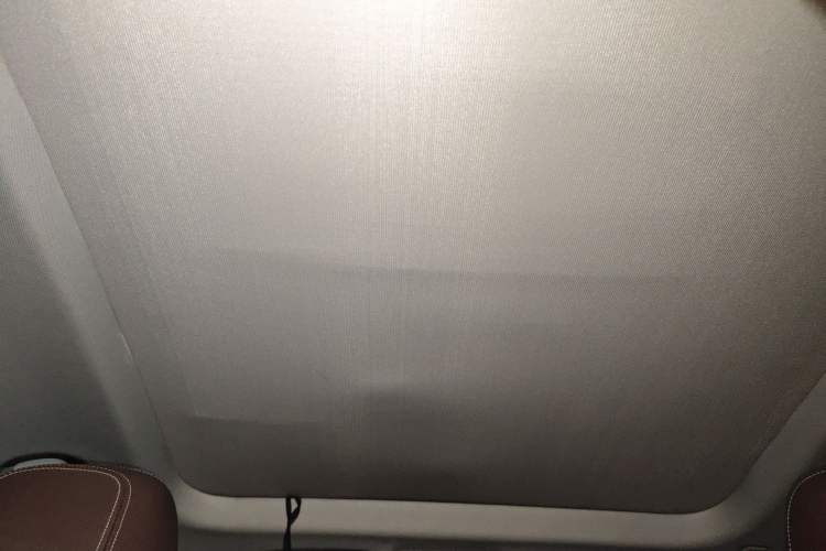 Used BMW X1 2020 sDrive25Li Leading Model Headliner